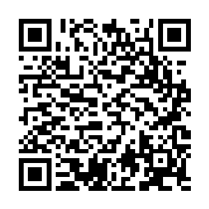 不过话还没说完就换来了流墨墨和雪如楼同时甩过来的白眼二维码生成