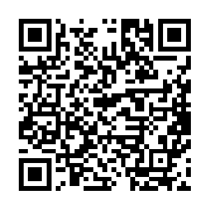 不过说来也奇怪似乎这两位长老极为在意和龙宇一起的虎神二维码生成