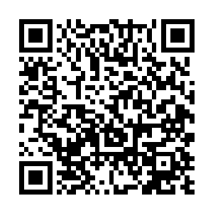 不过贝海觉得还是先置办一辆自己垂涎己久的shelbygt500的好二维码生成