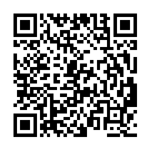 不过走的时候依然是回头看了几眼酒店老板的屁股处二维码生成