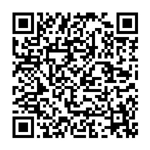 不过赵怡可是没有这个胆量当着Jack的面将Jack这样的表情记录下来二维码生成