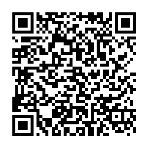 不过转念间他就想到自己刚刚竟然和这样的至强者如此近距离的接触二维码生成