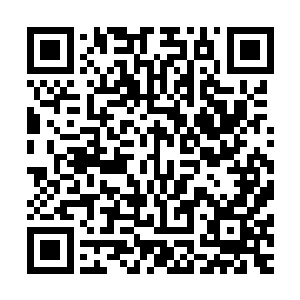 不过还没等我把话说出来雅文已经伸出手来抓住了我的手腕儿二维码生成