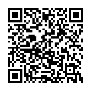 不过这一次他没有将这个太初洞天转化为镇妖塔二维码生成