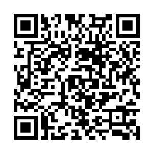 不过这一次龙傲天逃走的方向可不是天圣宗的外围二维码生成