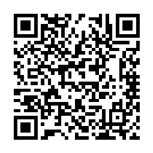 不过这个对于血魔宗来说已经是一个巨大的依靠了二维码生成