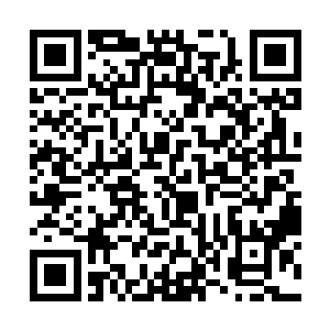 不过这个对于跟力莲生活了这么多年的某个混蛋来说二维码生成