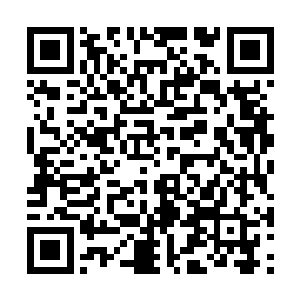 不过这个杀意再触碰到教皇之后顿时变得消失不见二维码生成