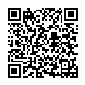 不过这也是圆慈抱着孩子的时间比其他女子军团的人要多二维码生成