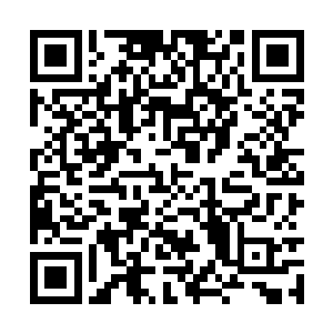 不过这些九级丹药显然都是没有被抹除意识的丹药二维码生成