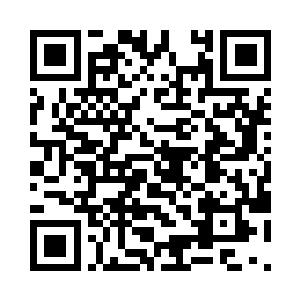 不过这几日宠物们虽然没有继续接任务二维码生成