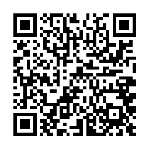 不过这到底只是景王手底下的谋士所推算的一种可能二维码生成