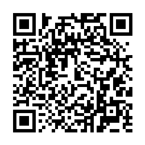 不过这时候秦宇的脑海中却是传来了胖子另外的话语二维码生成