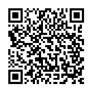 不过这次的排场要比上次在这里和谢尔盖偷偷会面时要大多了二维码生成
