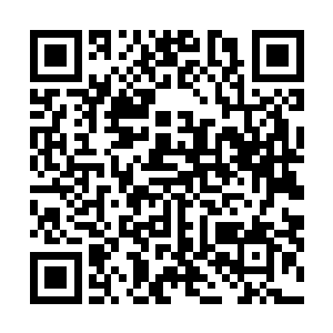 不过这片大陆大概也没有哪个部落的族长能比龙战厉害吧二维码生成