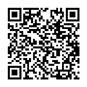 不过这玄水巨蟒身上的宝贝秦方是不可能放过的了二维码生成