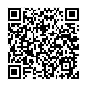 不过这种坚持总共就坚持了半个时辰然后就不得不匆匆放弃二维码生成