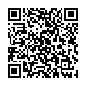 不过这马槊可以换这柄例你拿出什么来我都不会换的二维码生成