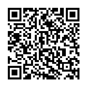 不过这鲲鹏也是受制于血剑破除一切维度空间的缘故二维码生成