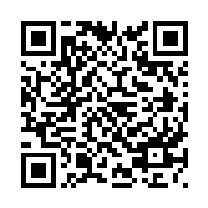 不过那些老鼠都是拼命的进行阻止二维码生成