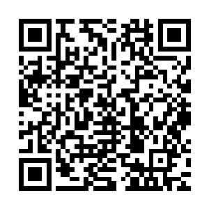 不过那层厚厚的化妆品和能夹死蚊子的皱纹已经出卖了她的年龄二维码生成