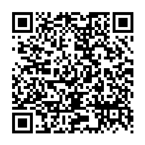 不过那张早已是空壳的脑袋这会儿却是一点点的在火焰之中消失了二维码生成