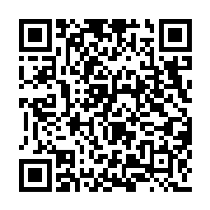 不过那标志性的麻杆身材让龙战想认不出来都难二维码生成