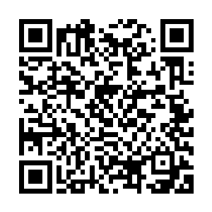 不过那棕木树人也没想过光靠这些树人就能解决熊孩子和青龙二维码生成