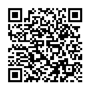 不过金丹后期的修为就像从我的手底下逃跑也太异想天开了一点二维码生成