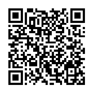 不过阿克拉却总能在众人想要反抗的时候及时敲打二维码生成