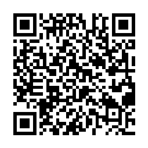 不过随即也是把手里面的记录都放置到了丁羽的面前二维码生成