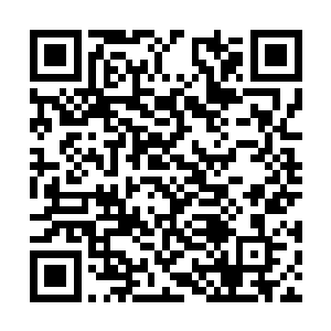 不过随即回头看了一下满眼都是警告和担忧的流年二维码生成