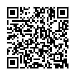 不过随风飘逸的金毛都遮掩不住他的冷漠和讥讽二维码生成