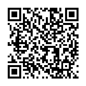 不过雷林现在完全没有兴趣和她们来上一场激烈的活动二维码生成