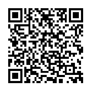 不过雷林眸子当中塔格利安翼蛇的虚影浮现出来二维码生成