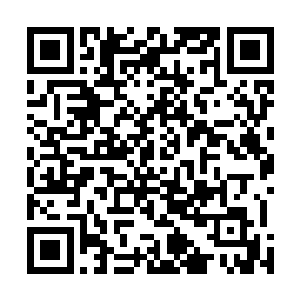 不过雷欢喜已经承诺过全部费用由他和方寸公司来承担了二维码生成