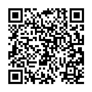 不过马修也知道自己的实力比起杰克来说简直一个天上一个地下二维码生成
