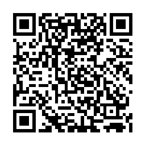 不过马文向来不会把所有希望寄托在其他人身上二维码生成