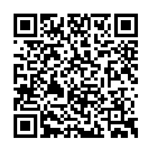 不过黑夜老祖的黑暗领域是遮蔽神念的最强手段二维码生成