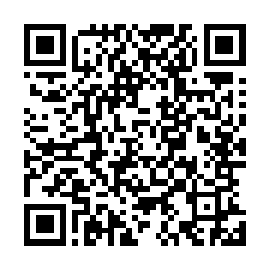 不过龙傲天忽然想到以前的时候选拔领主的时候都会造成兽二维码生成