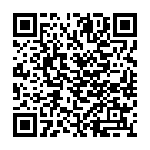 不还是因为波士顿方面提供的条件更为的便利吗二维码生成