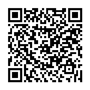 不远处已经被吓得全都软倒在地上的二十几名武者二维码生成