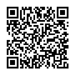 不远处柳泱泱的另一个丫鬟知凉已经看到她们了二维码生成
