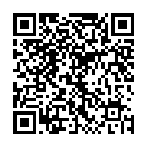 不远处正准备利用空间之力救援楚旬的骨皇也忽然脸色一变二维码生成
