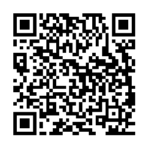 不远处的慕霞看着古怪的一老一小怎么都想不通到底怎么回事二维码生成