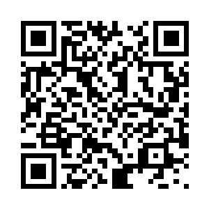 不远处的那只至尊灵兽层次的金色灵猫二维码生成