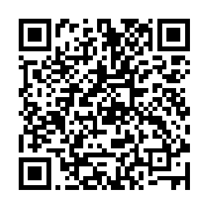 不远处的龙傲天听见企鹅的叫声以为发生了什么事情二维码生成