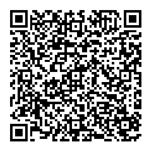 不远处相继有人倒地　随后　一群蒙着面穿着迷彩军装的人　从一旁的小巷子里冲了出來　直接朝着赵纯良这边而來二维码生成