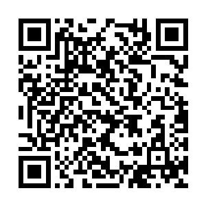 不顾一切的将自己的红唇印在了白公子的唇上……二维码生成
