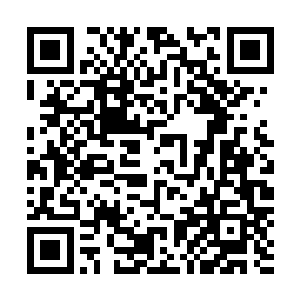 与一帮根本没有任何交集的老头子们在这里乐呵呵的下象棋二维码生成